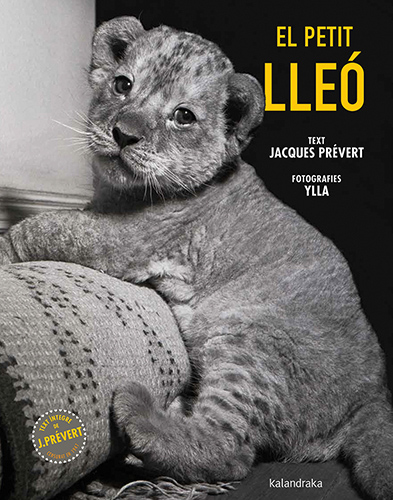 PETIT LLEO, EL