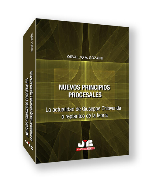 NUEVOS PRINCIPIOS PROCESALES