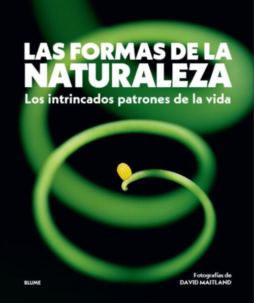FORMAS DE LA NATURALEZA, LAS