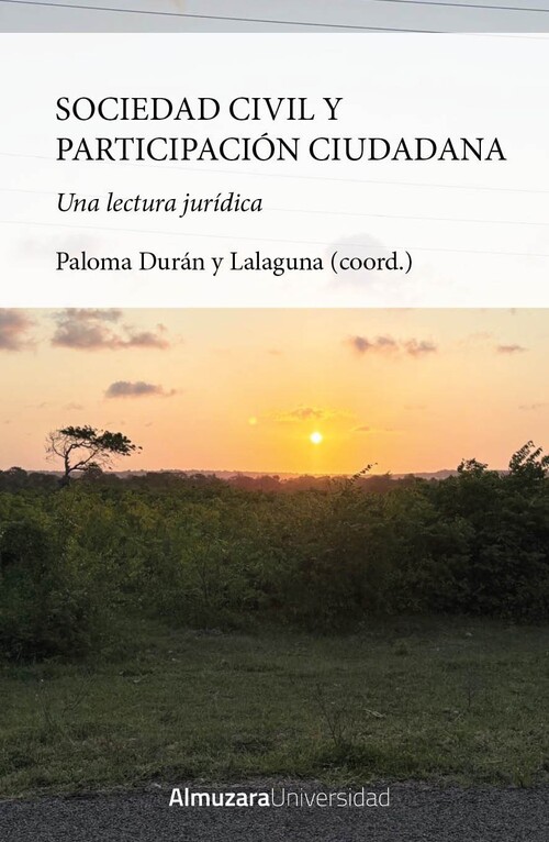 SOCIEDAD CIVIL Y PARTICIPACION CIUDADANA