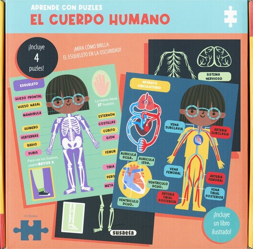 CUERPO HUMANO, EL