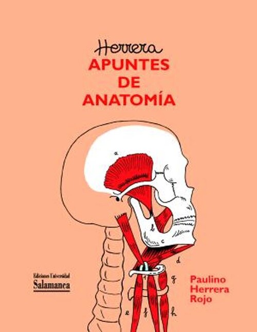 APUNTES DE ANATOMIA