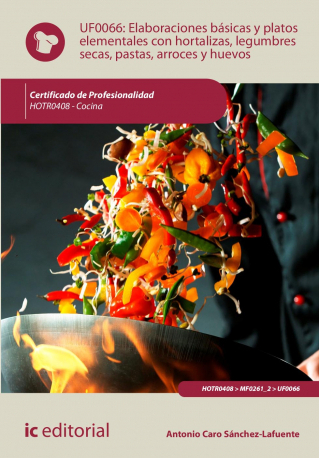ELABORACIONES BASICAS Y PLATOS ELEMENTALES CON HORTALIZAS,