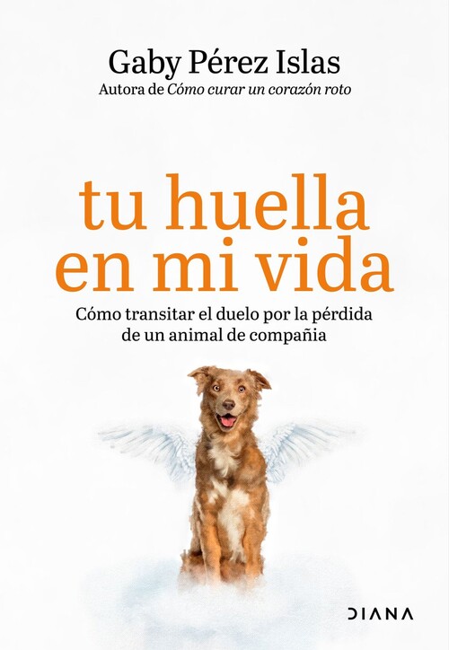 COMO CURAR UN CORAZON ROTO