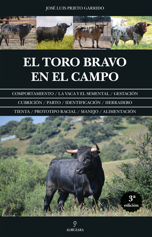 COMO VER EL TORO EN LA PLAZA