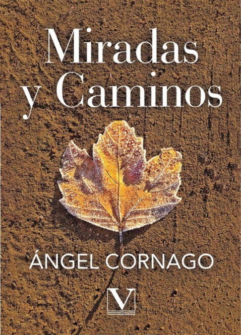 SOMBRAS DE LA LUNA,LAS