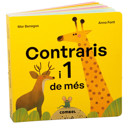 UN ARMARIO ESTRAFALARIO