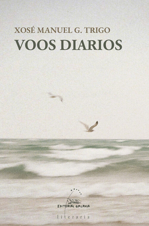 VOOS DIARIOS