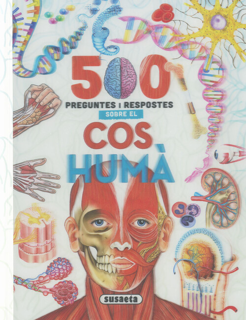 CUERPO HUMANO