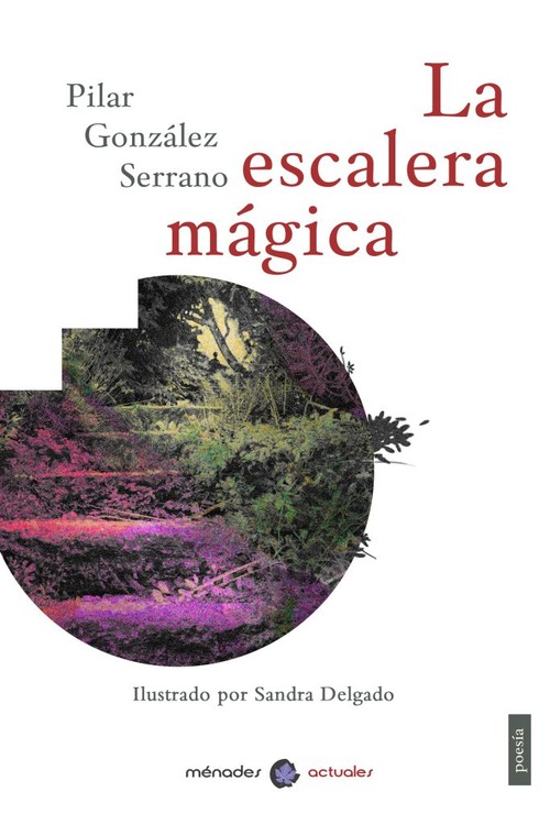 ESCALERA MAGICA, AL
