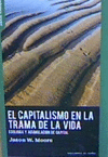CAPITALISMO EN LA TRAMA VIDA