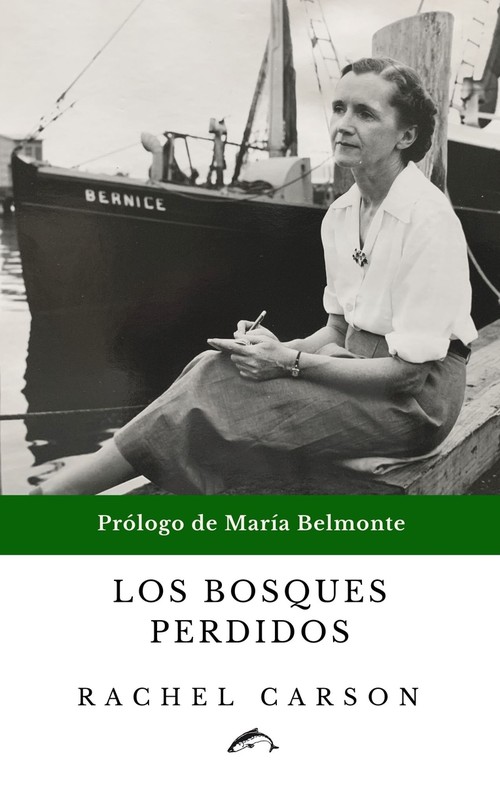 SENTIDO DEL ASOMBRO, EL