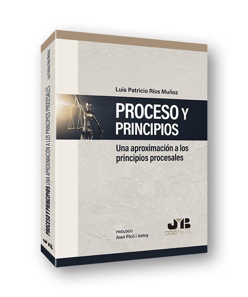 PROCESO Y PRINCIPIOS UNA APROXIMACION A LOS PRINCIPIOS PROC