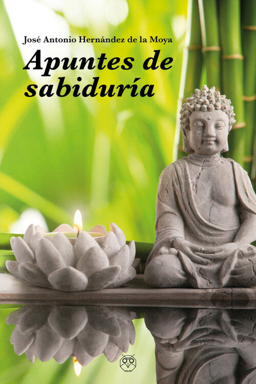 �QUIEN ESCRIBIO REALMENTE EL QUIJOTE? LA VERDAD SILENCIADA D