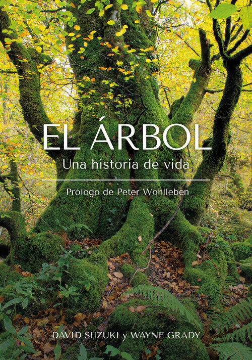 ARBOL EL