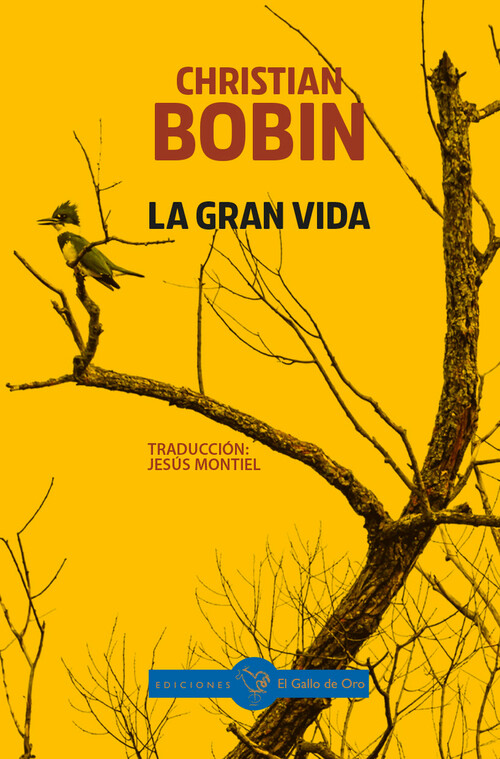 VIDA PASAJERA, LA