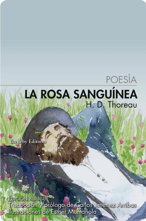 ROSA SANGUINEA, LA