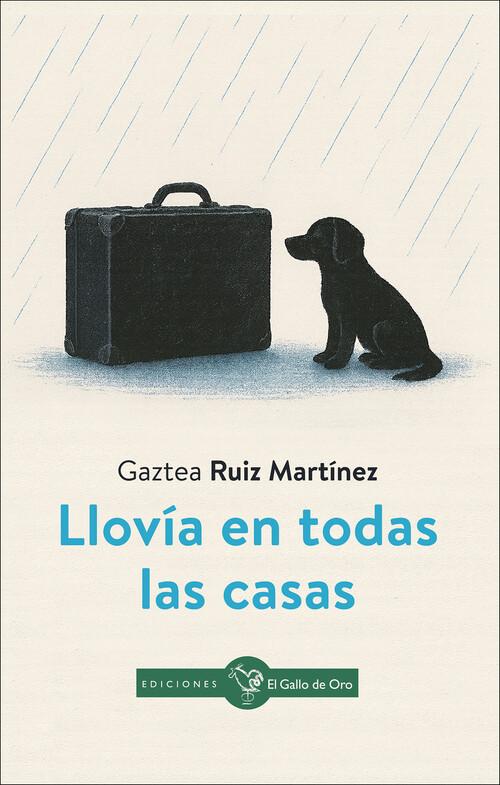 LLOVIA EN TODAS LAS CASAS