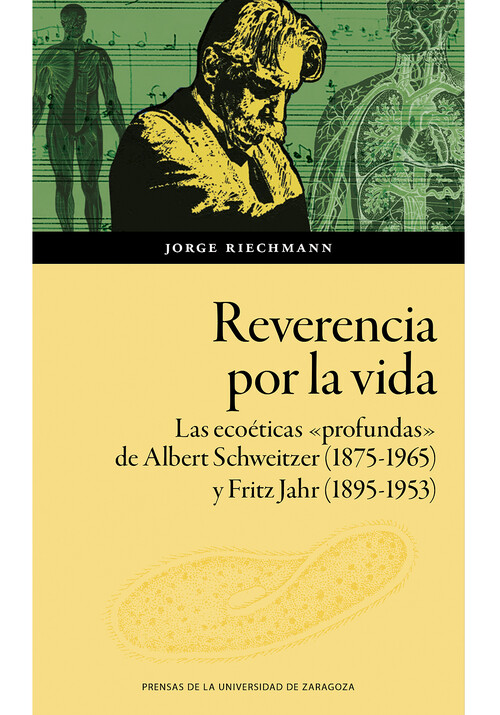 ECOESPIRITUALIDAD PARA LAICOS