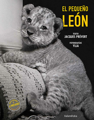 PEQUE�O LEON, EL