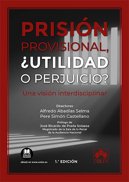 PRISION PROVISIONAL, UTILIDAD O PERJUICIO?