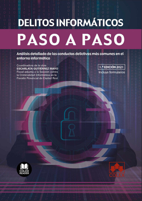 DELITOS INFORMATICOS