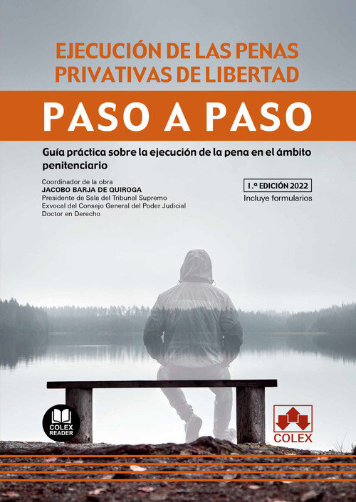 EJECUCION DE LAS PENAS PRIVATIVAS DE LIBERTAD