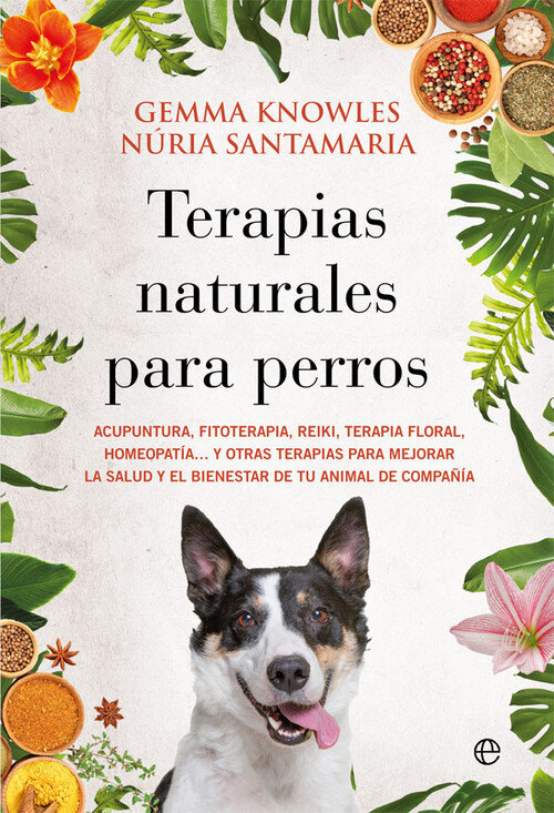 COCINA SANA PARA TU PERRO