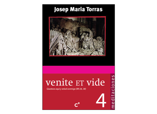 ACERCARSE A JESUS CON MARIA