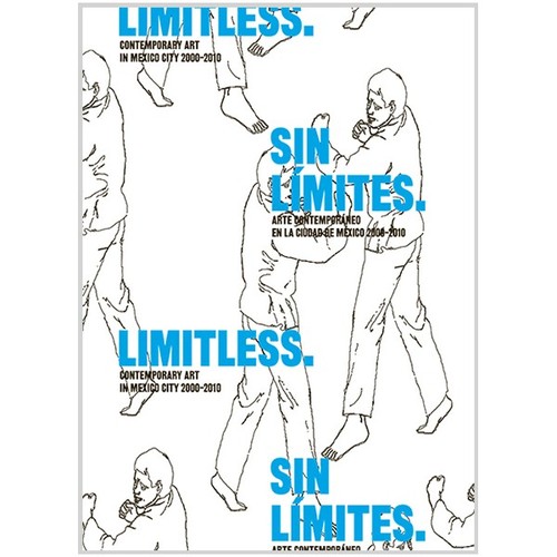 SIN LIMITES ARTE CONTEMPORANEO EN LA CIUDAD DE MEXICO 2000 2