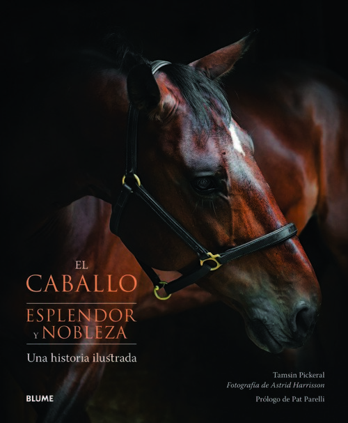 CABALLO ESPLENDOR Y NOBLEZA