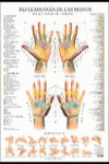 REFLEXOLOGIA DE LAS MANOS LAMINA