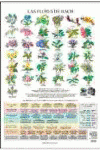 FLORES DE BACH LAMINAS