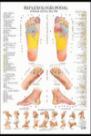REFLEXOLOGIA PODAL LAMINAS