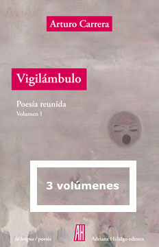 VIGILAMBULO POESIA REUNIDA VOL.I-II-III