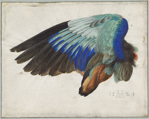 REINA DEL AIRE,LA
