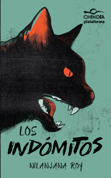 GATOS DEL CORAZON DE AMBAR, LOS