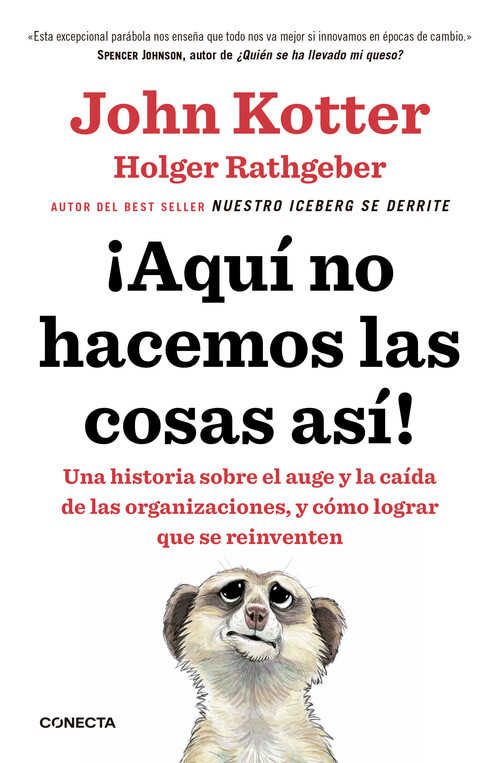 AQUI NO HACEMOS LAS COSAS ASI!