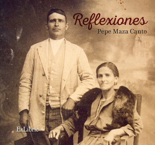 REFLEXIONES