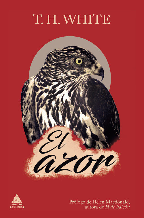 AZOR,EL