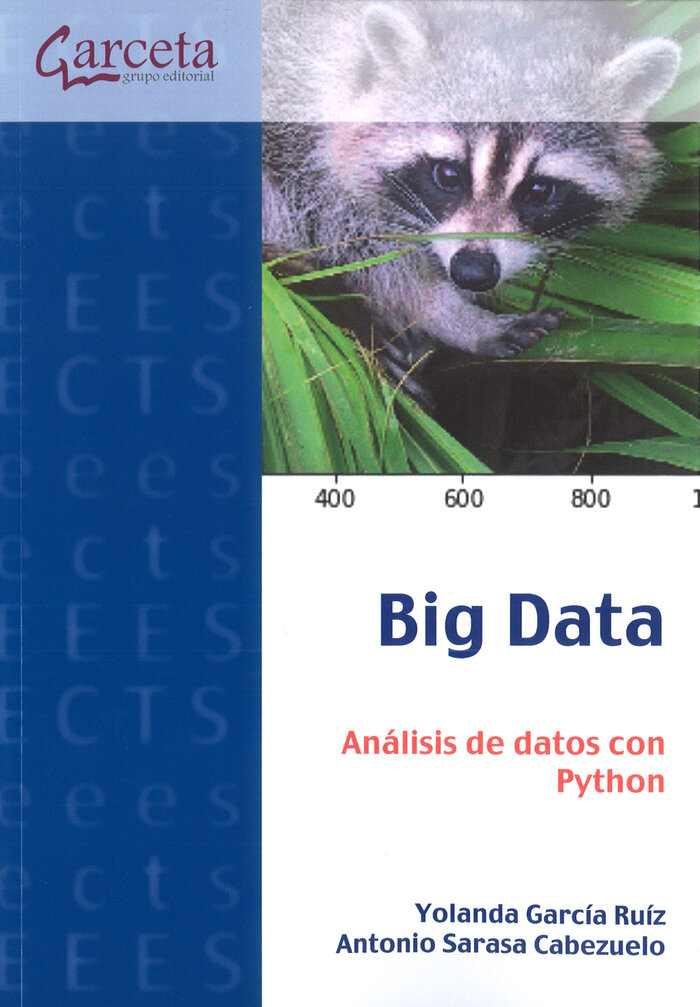 BIG DATA. ANALISIS DE DATOS CON PYTHON