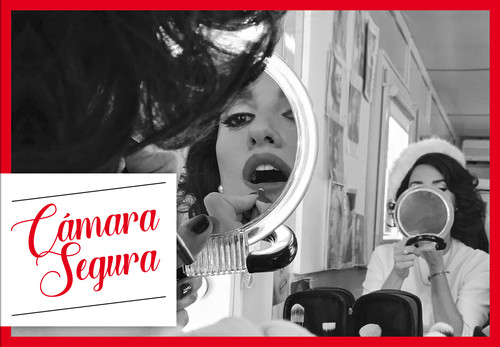 CAMARA SEGURA
