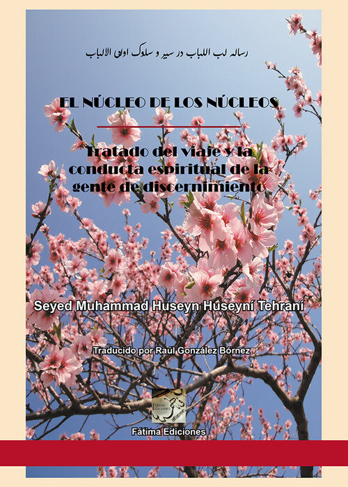 NUCLEO DE LOS NUCLEOS,EL
