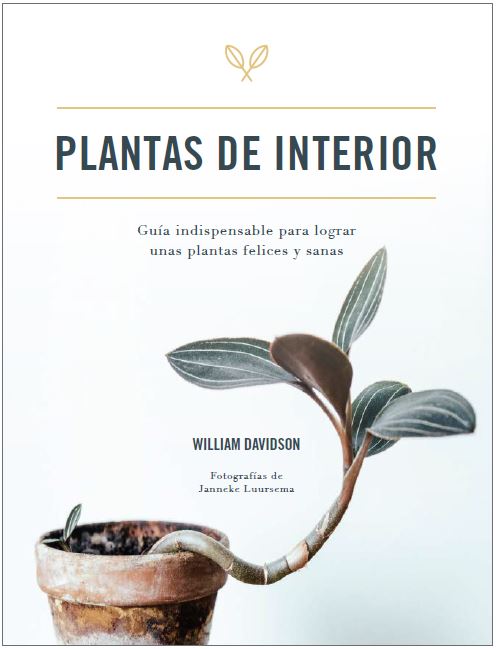 A BRIEF OUTLINE OF AN EXAMINATION OF THE SONG OF SOLOMON