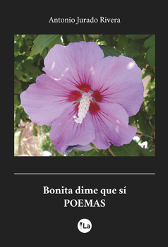 QUIZAS ERA UNA ILUSION