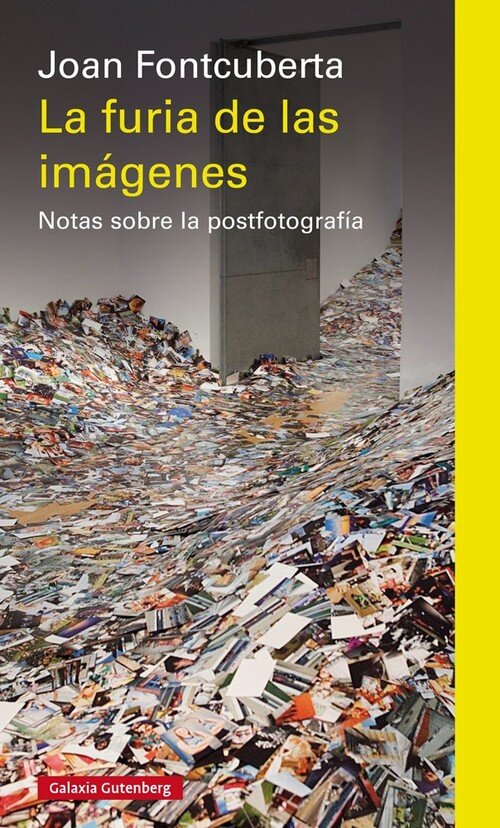 FURIA DE LAS IMAGENES,LA