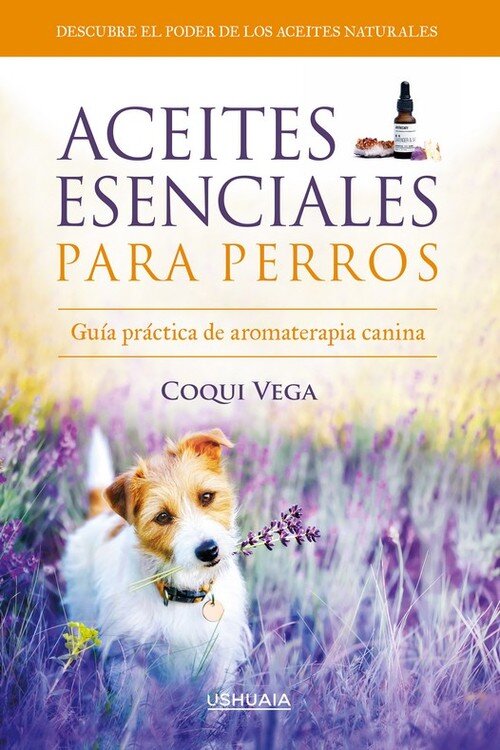 MOROCHA, LA GOSSETA OBEDIENT