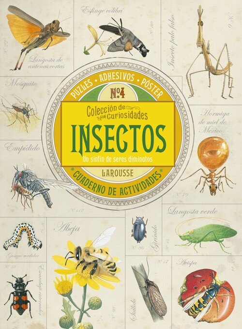 INSECTOS UN SINFIN DE SERES DIMINUTOS .COLECCION DE CURIOSI