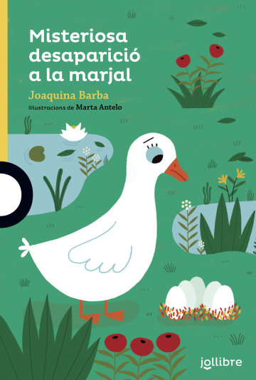 MISTERIOSA DESPARICIO A LA MARJAL