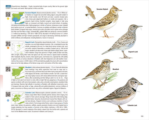 GUIA DE LAS AVES DE ESPA�A, PENINSULA, BALEARES I CANARIAS